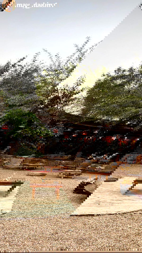 lia_abramovich image ~ Altpins