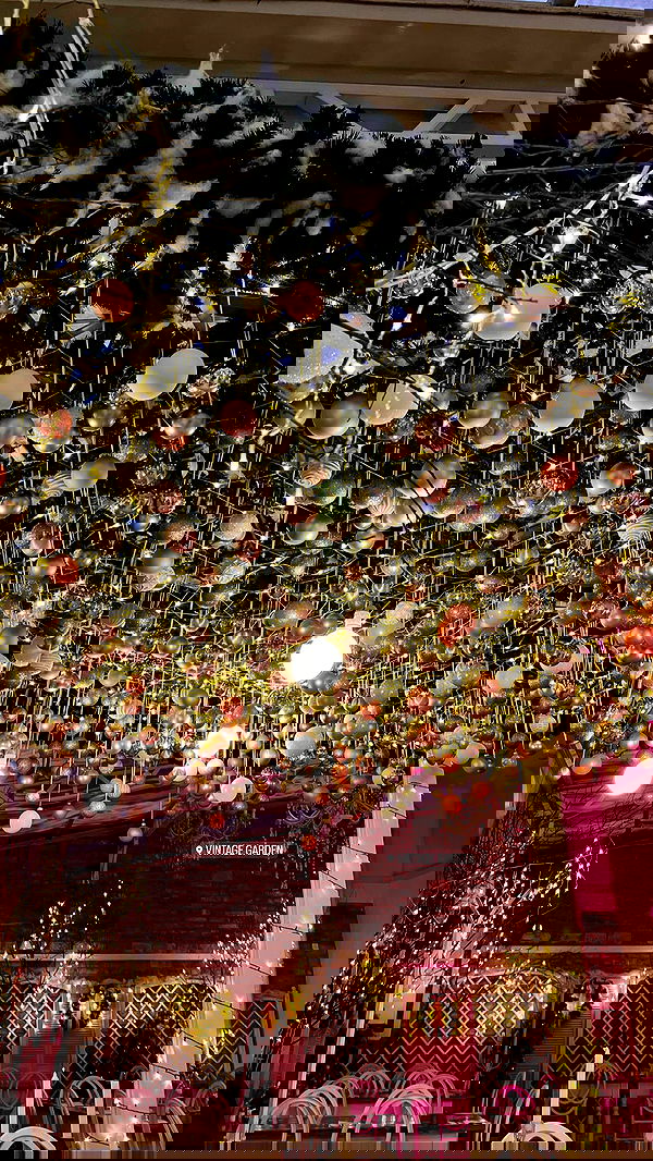 lia_abramovich image ~ Altpins