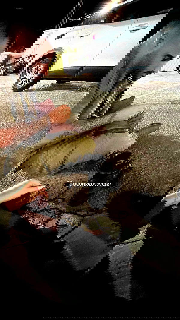 lia_abramovich image ~ Altpins