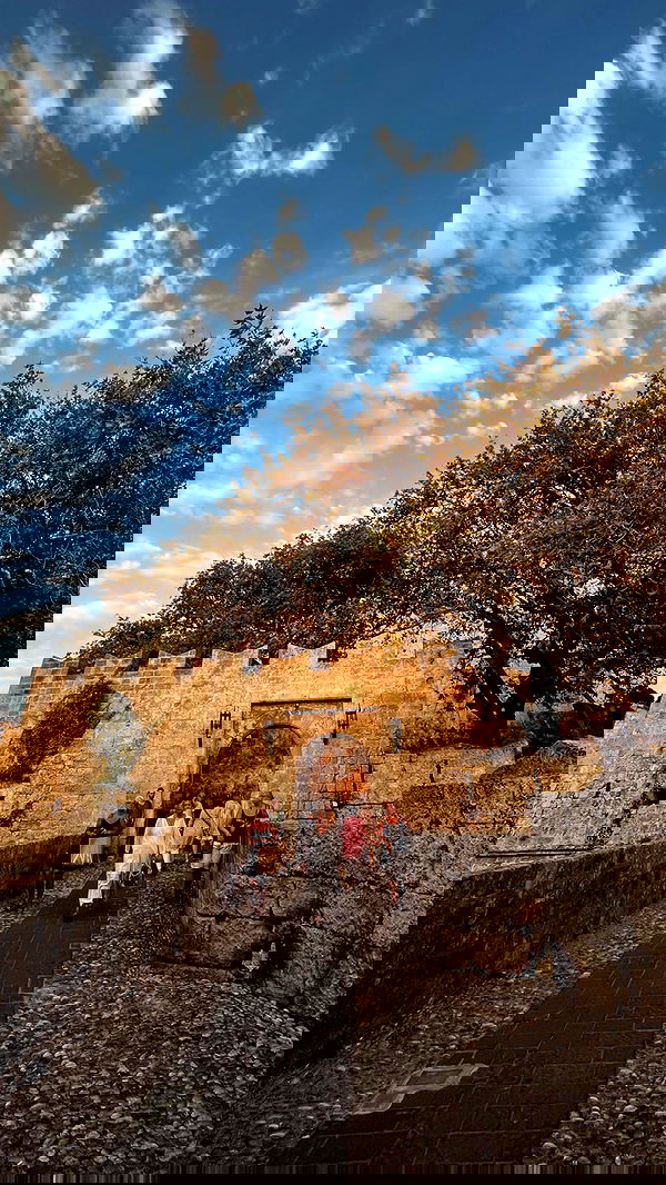 lia_abramovich image ~ Altpins