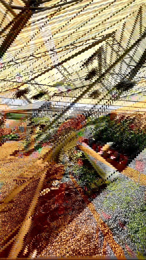 lia_abramovich image ~ Altpins