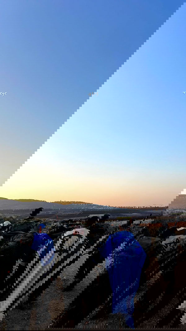 lia_abramovich image ~ Altpins