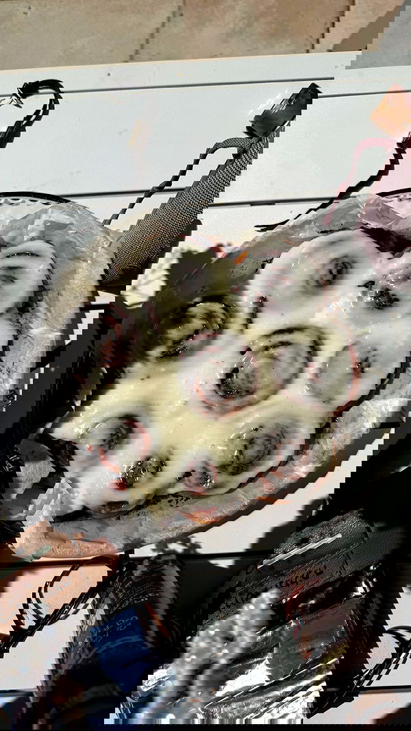 lia_abramovich image ~ Altpins