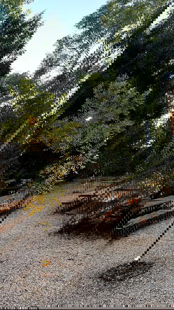 lia_abramovich image ~ Altpins