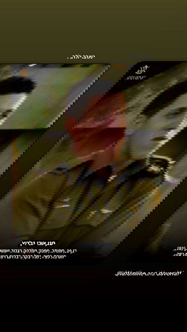 lia_abramovich image ~ Altpins