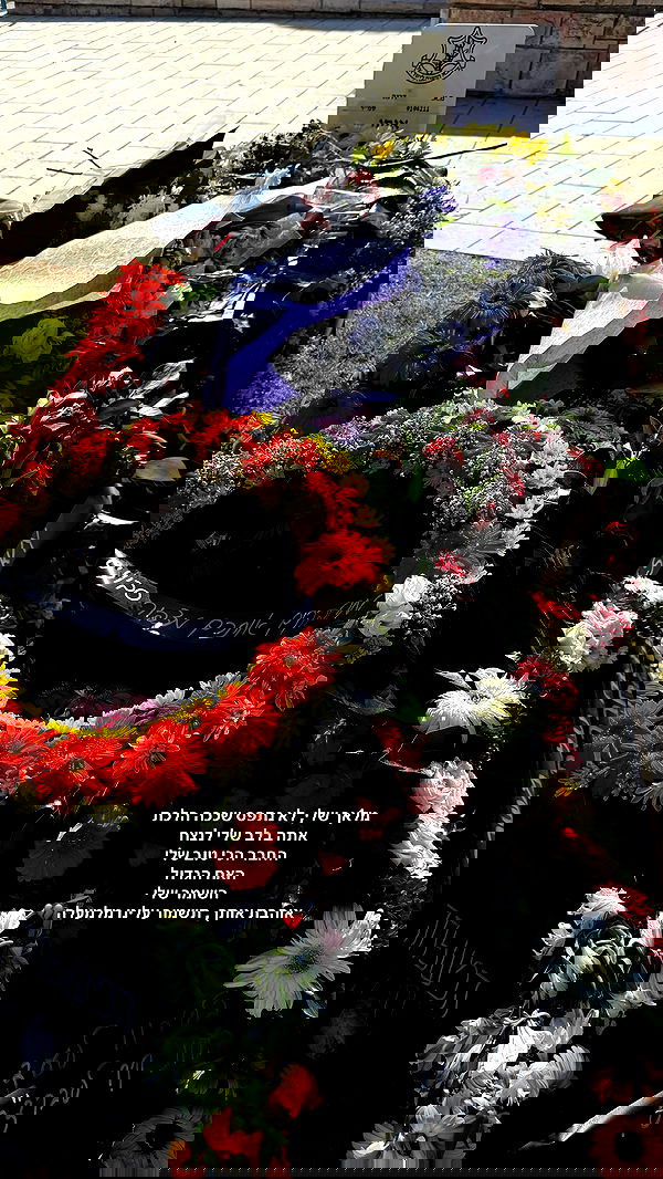 lia_abramovich image ~ Altpins