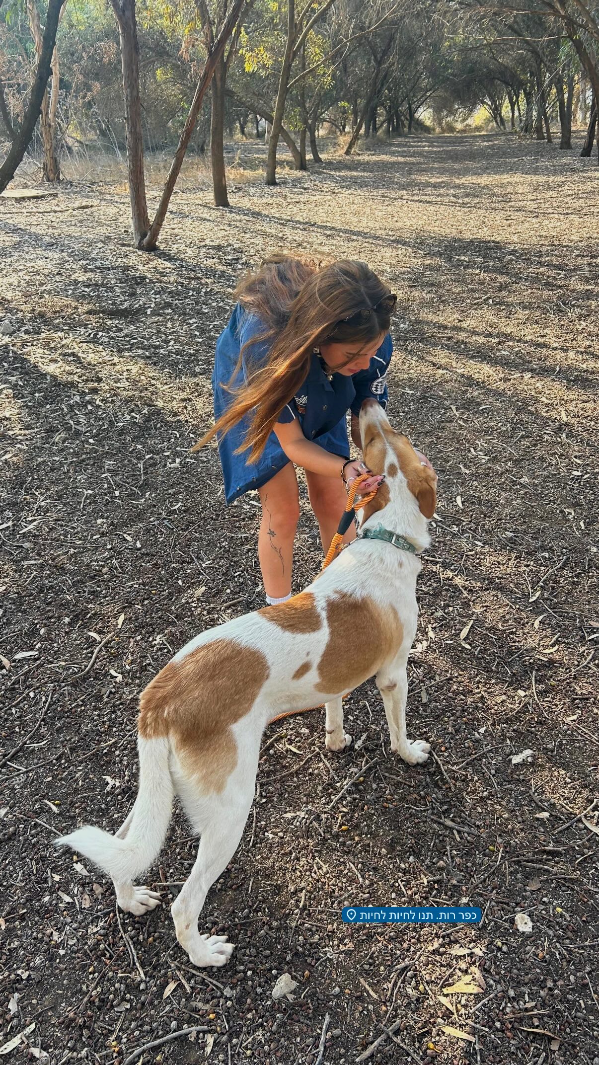 lia_abramovich instagram image archive image