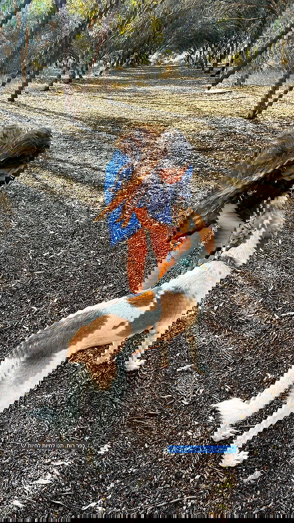 lia_abramovich image ~ Altpins