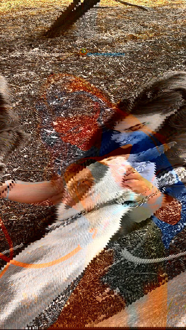 lia_abramovich image ~ Altpins