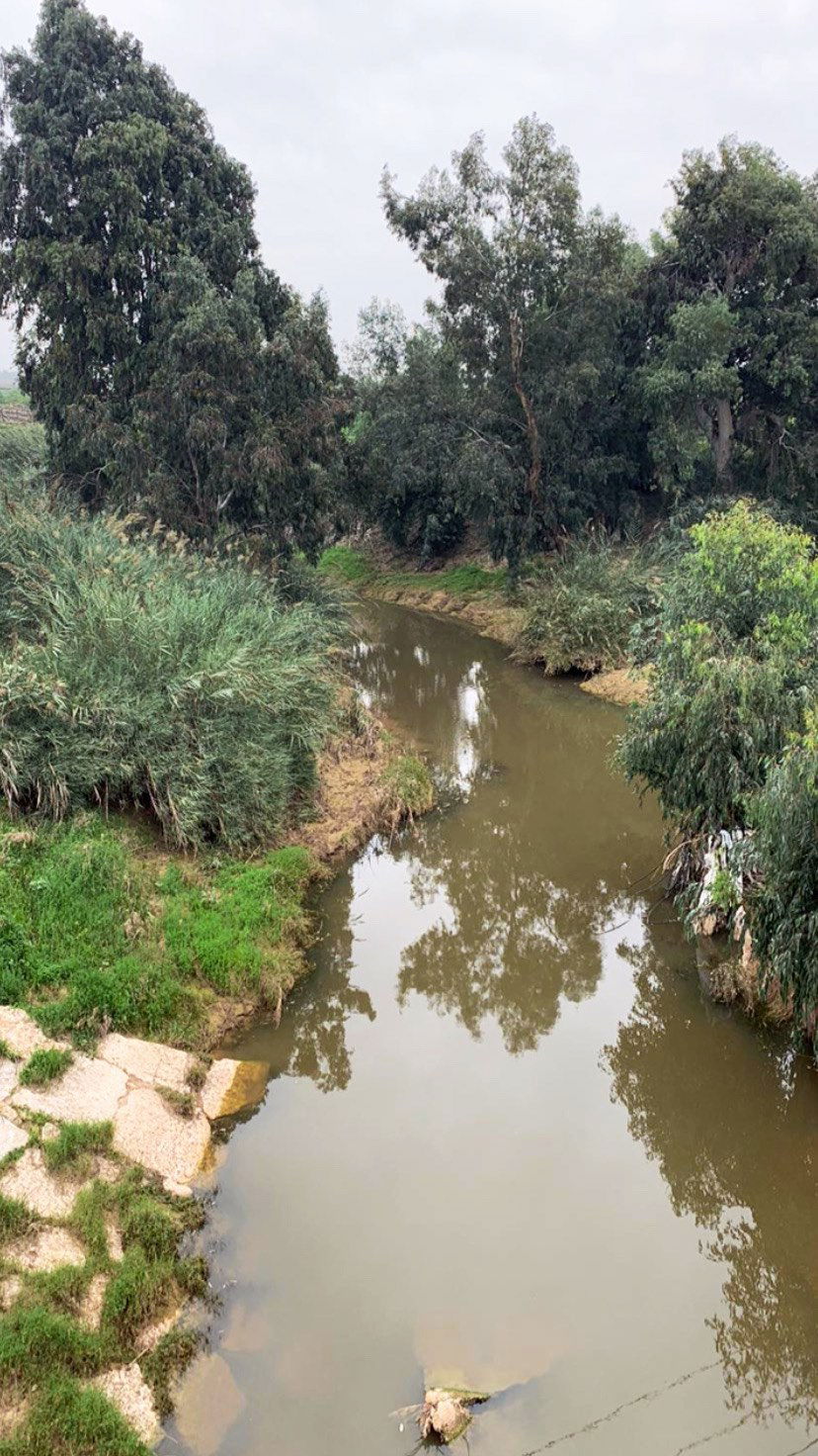 liad.arazi instagram image archive image