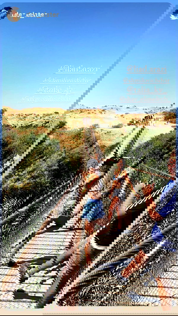 liad.arazi image ~ Altpins