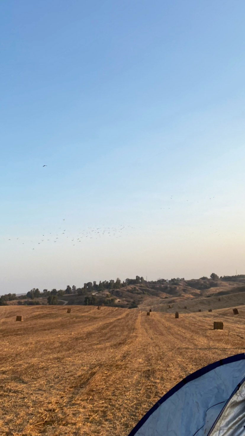 liad.arazi instagram image archive image