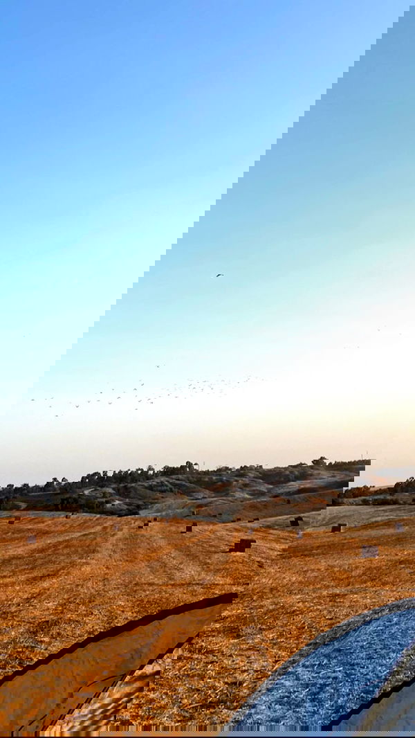 liad.arazi image ~ Altpins