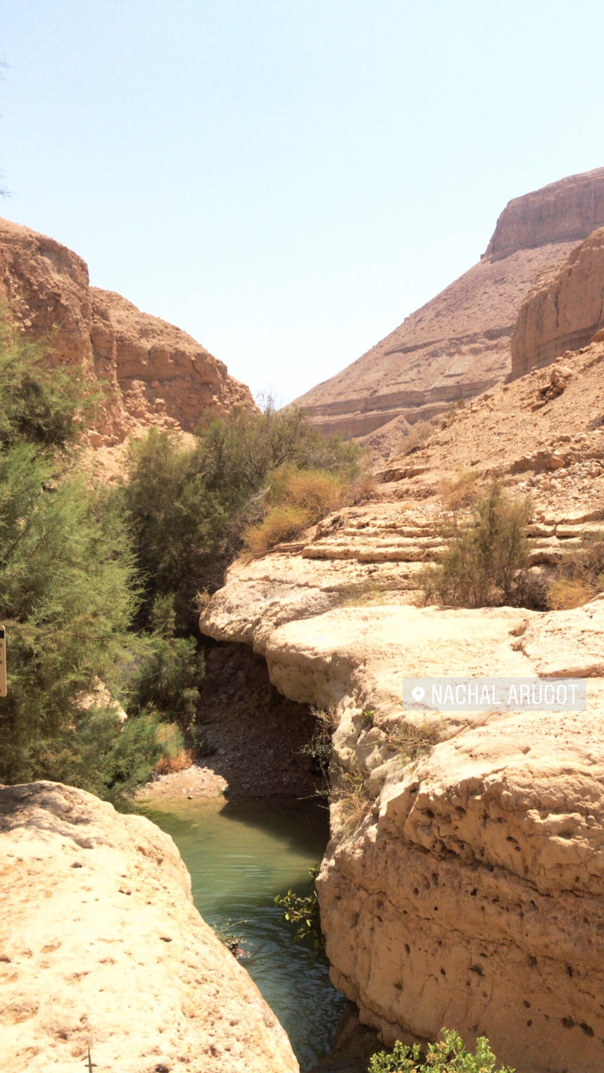 liad.arazi instagram image archive image