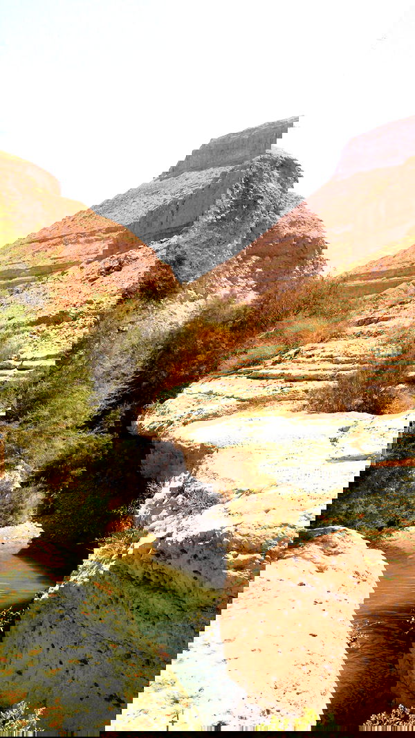 liad.arazi image ~ Altpins