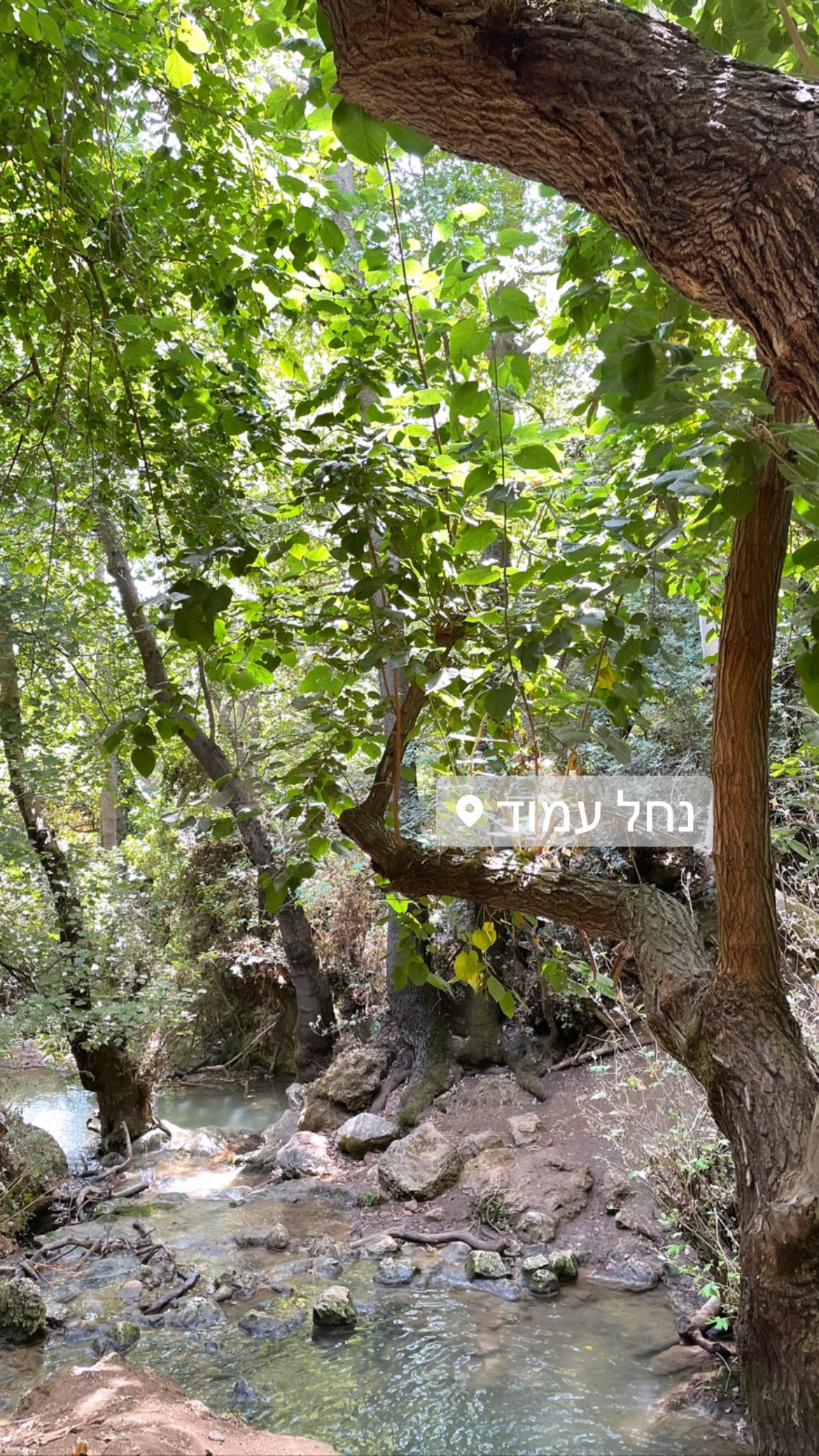 liad.arazi instagram image archive image