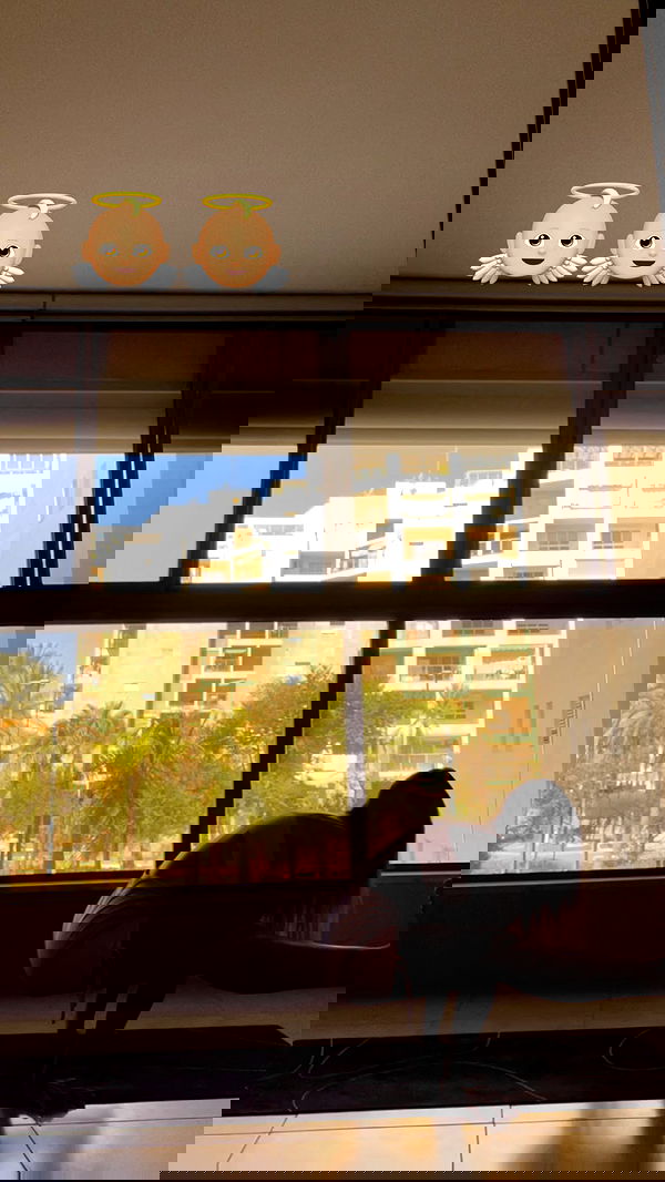 liad.arazi image ~ Altpins