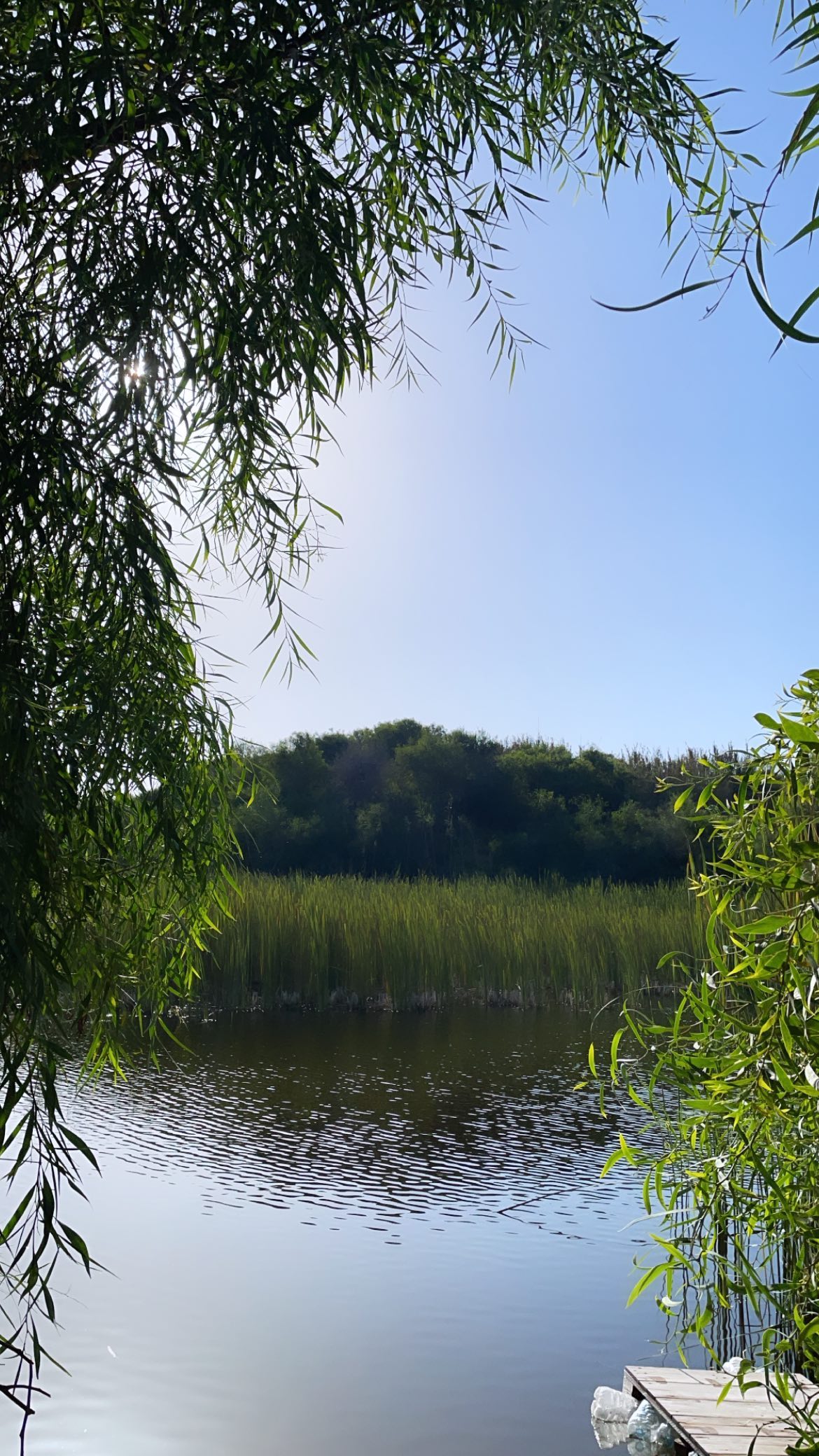 liad.arazi instagram image archive image