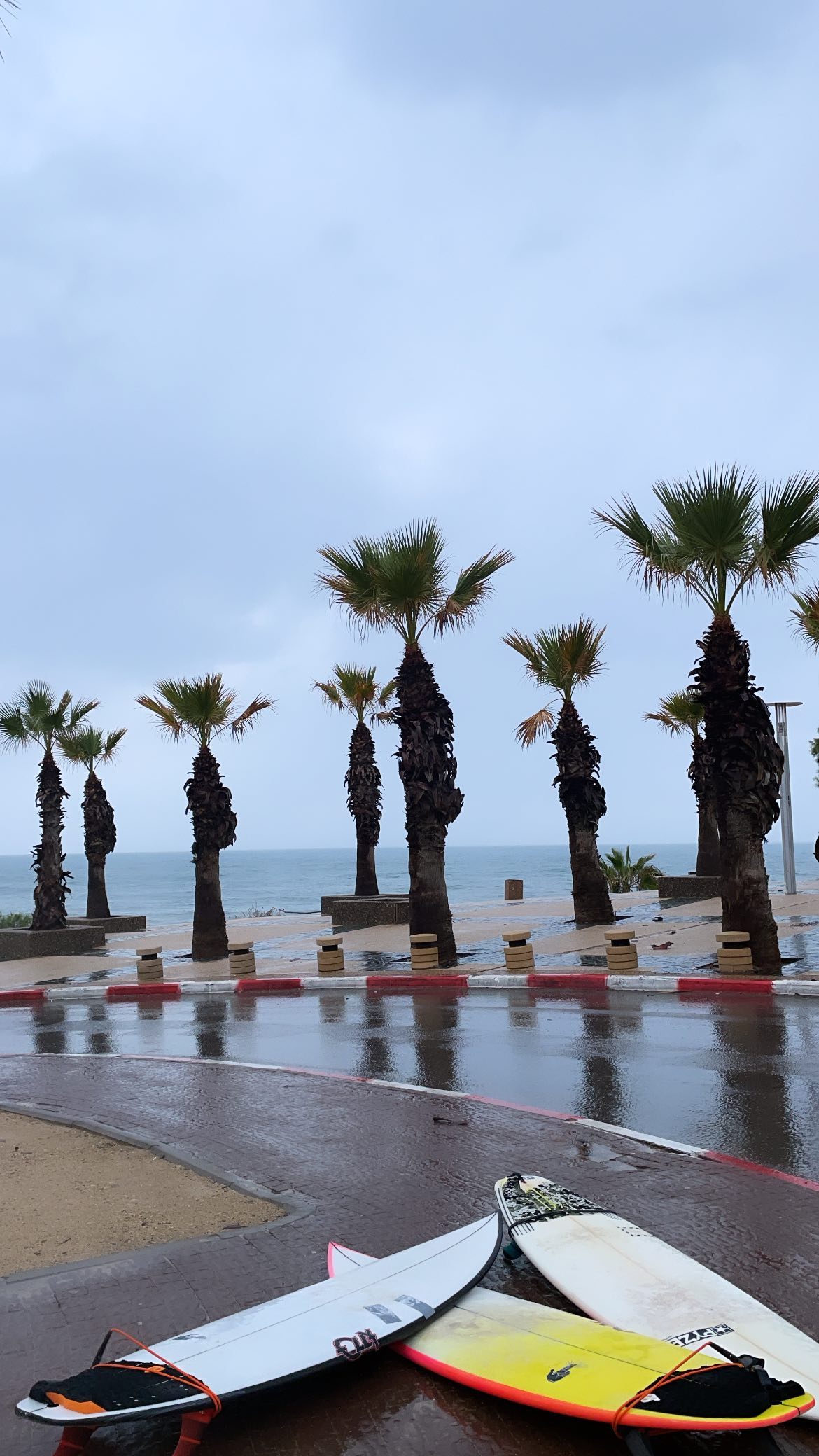 liad.arazi instagram image archive image