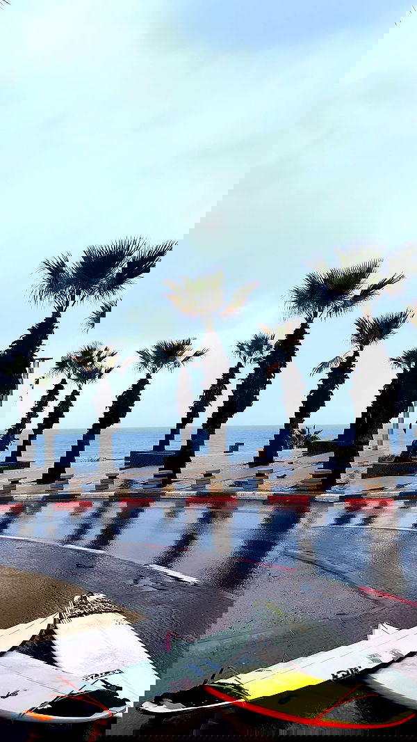 liad.arazi image ~ Altpins