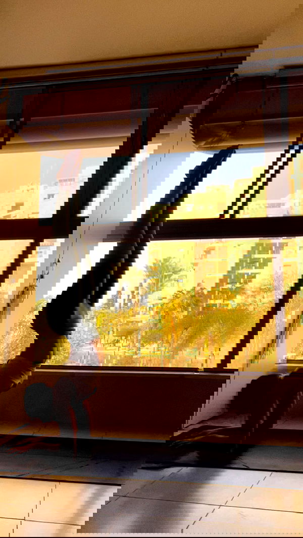 liad.arazi image ~ Altpins