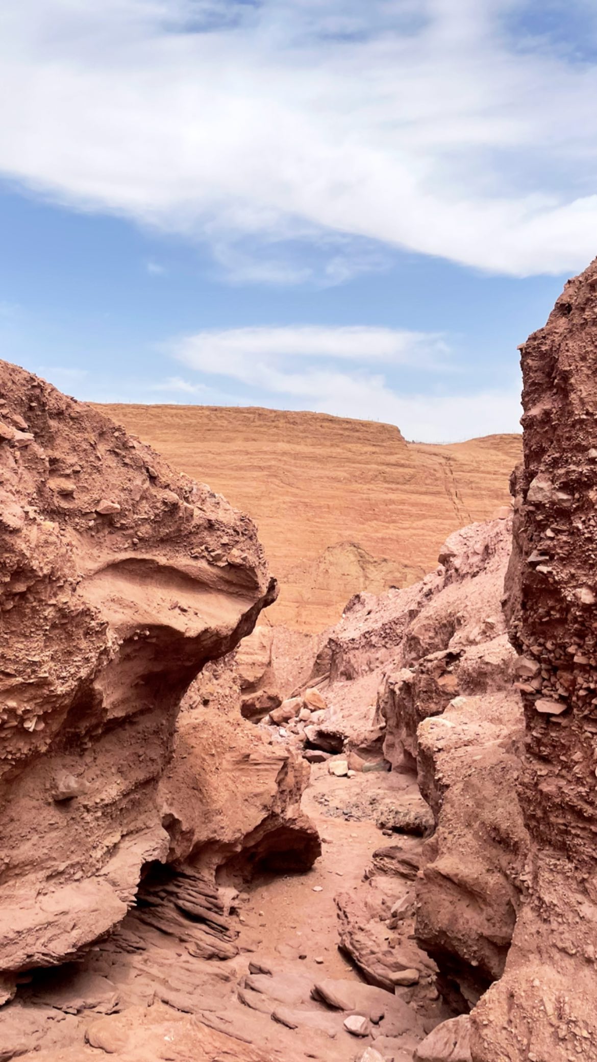 liad.arazi instagram image archive image