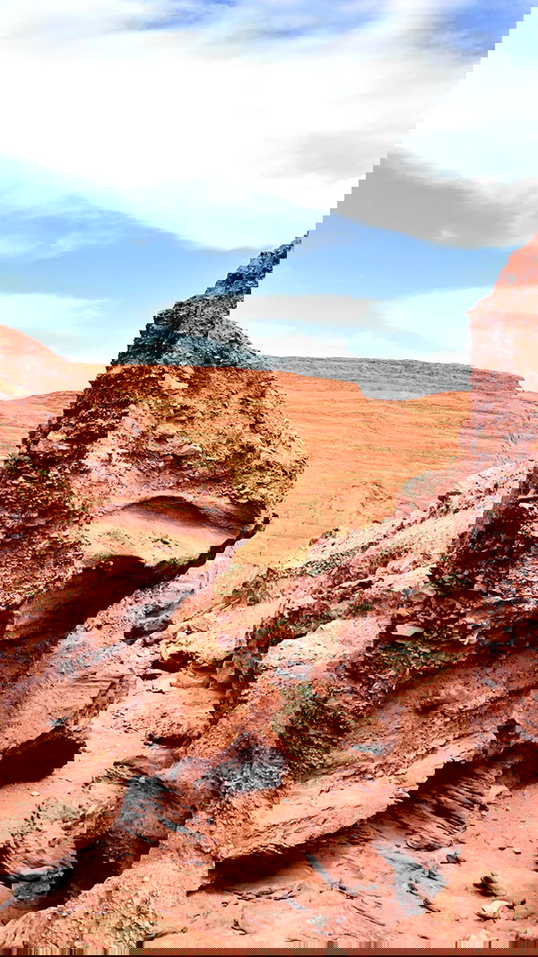 liad.arazi image ~ Altpins