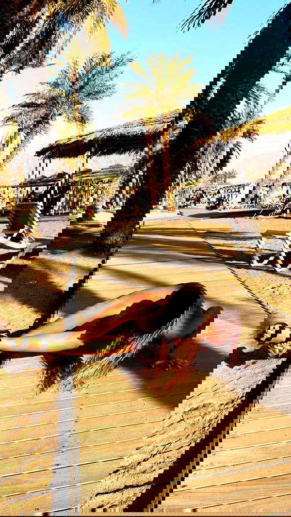 liad.arazi image ~ Altpins