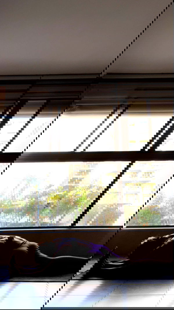 liad.arazi image ~ Altpins