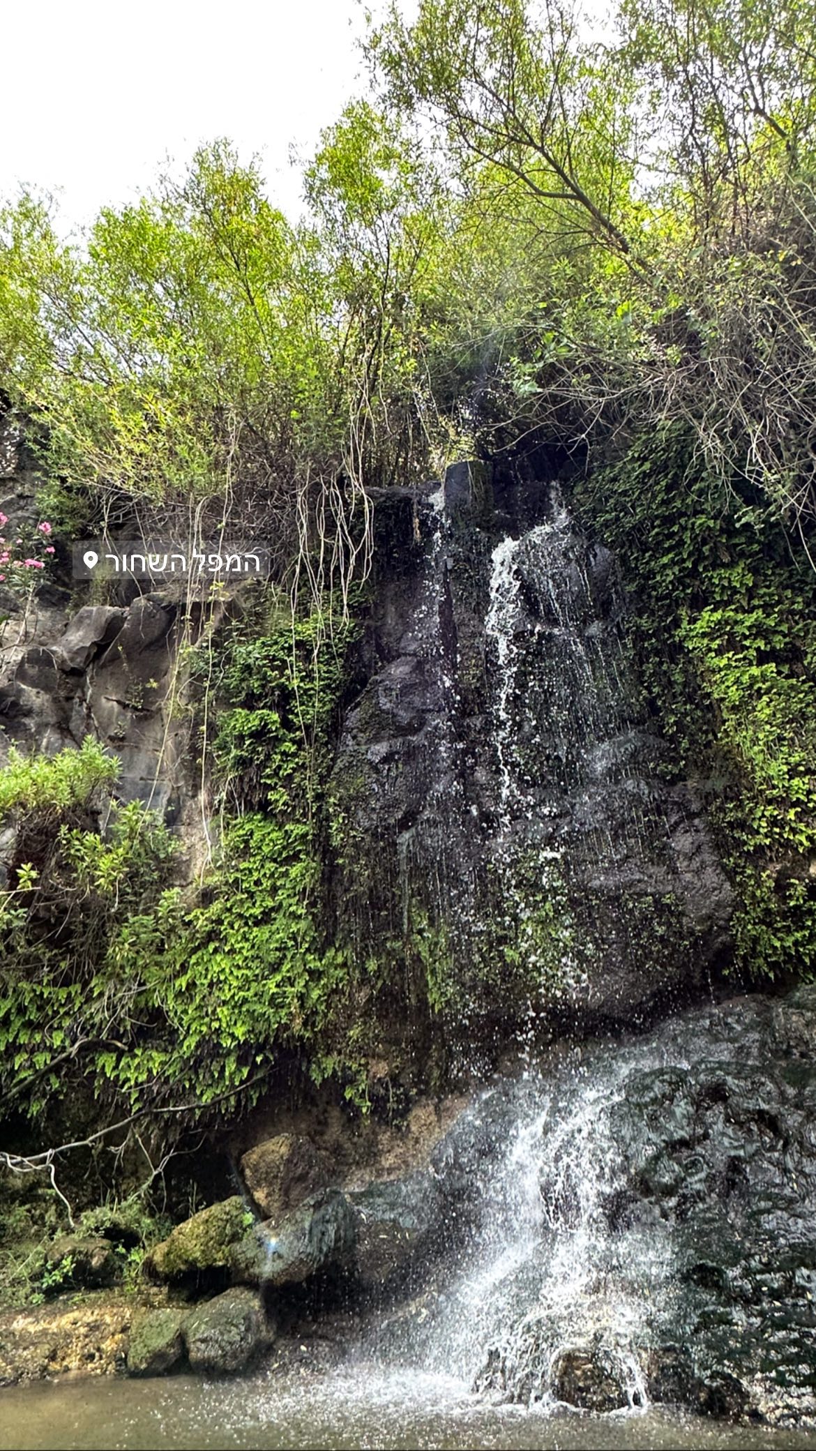 liad.arazi instagram image archive image