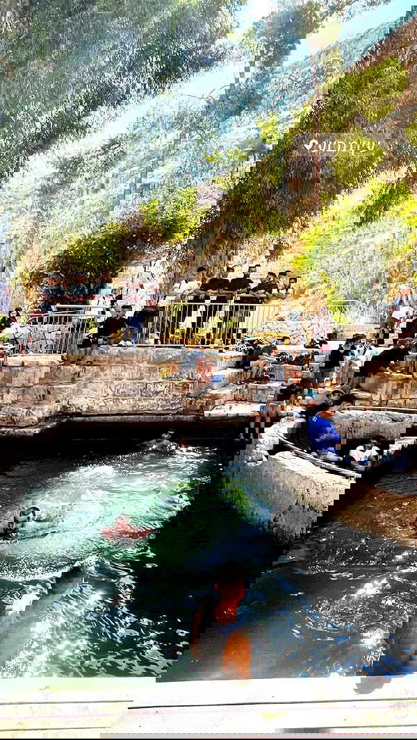 liad.arazi image ~ Altpins