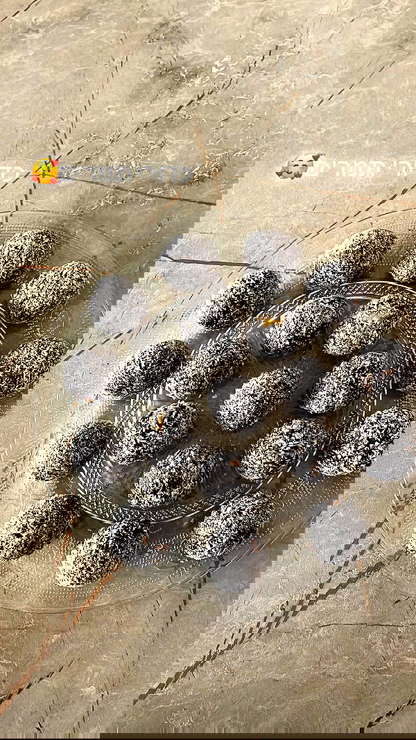 liad.arazi image ~ Altpins