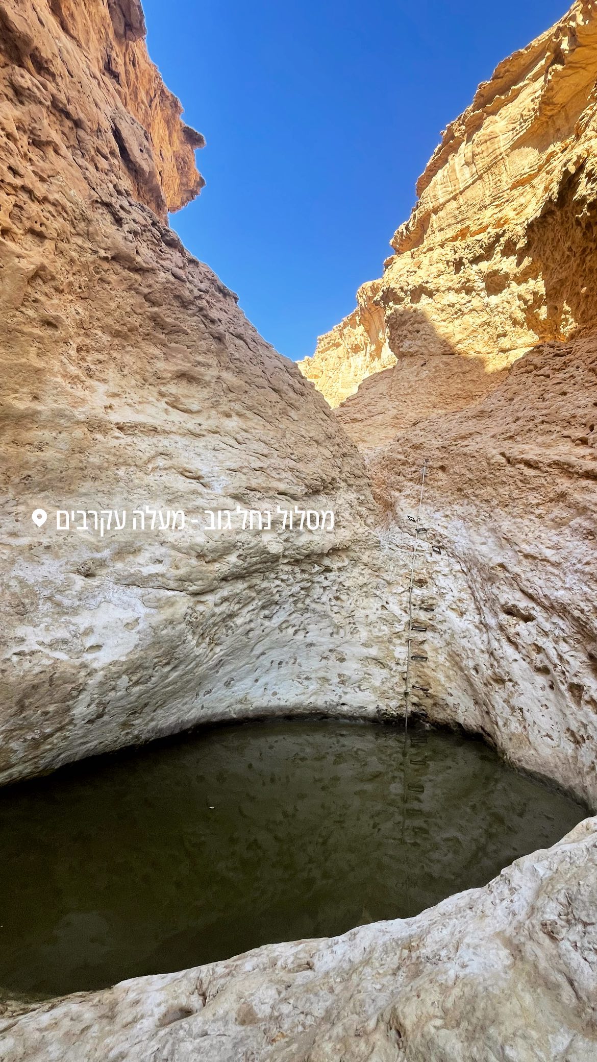 liad.arazi instagram image archive image