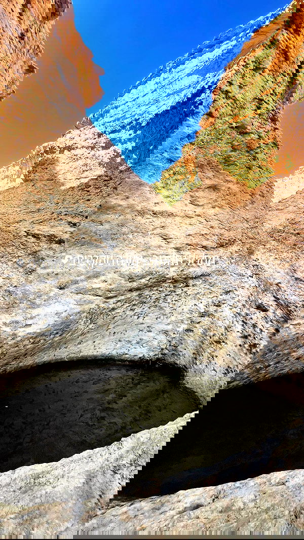 liad.arazi image ~ Altpins