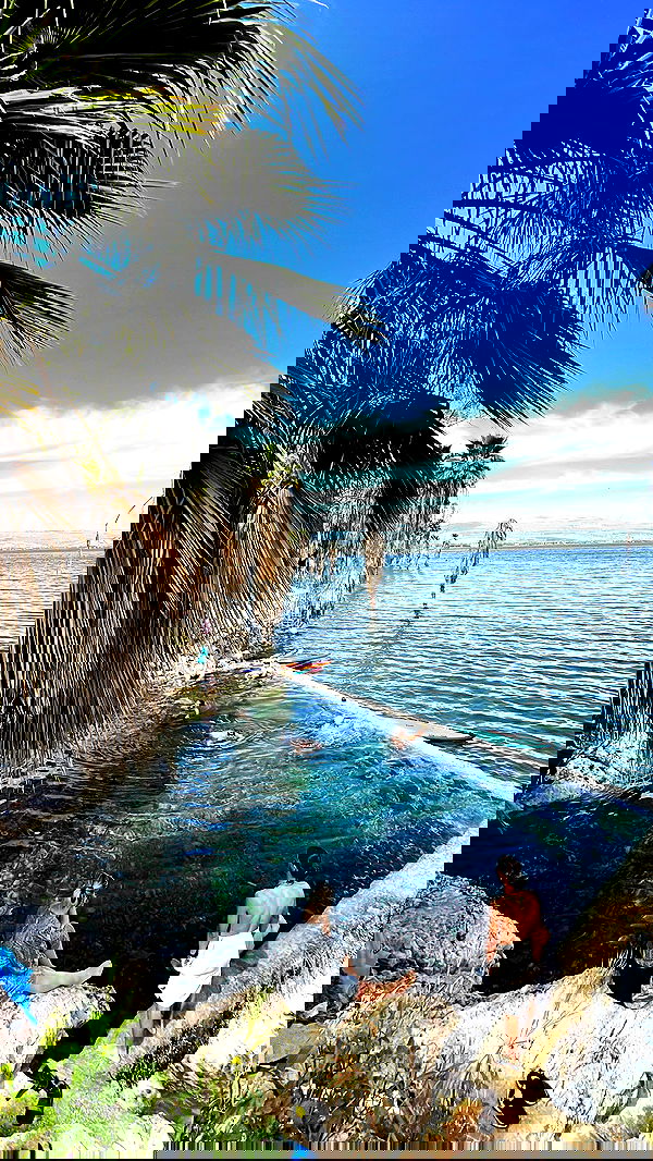 liad.arazi image ~ Altpins