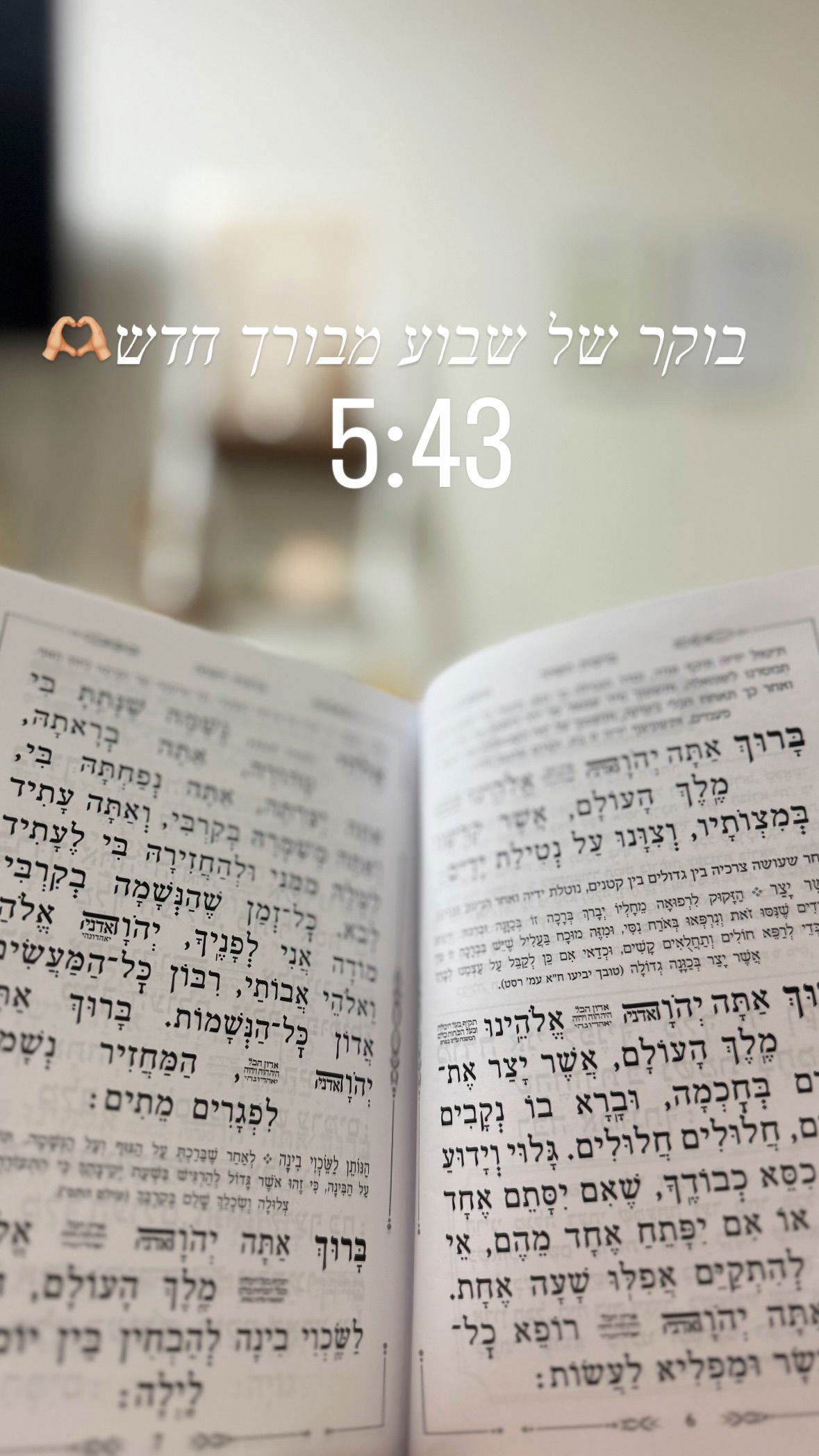 liad.arazi instagram image archive image