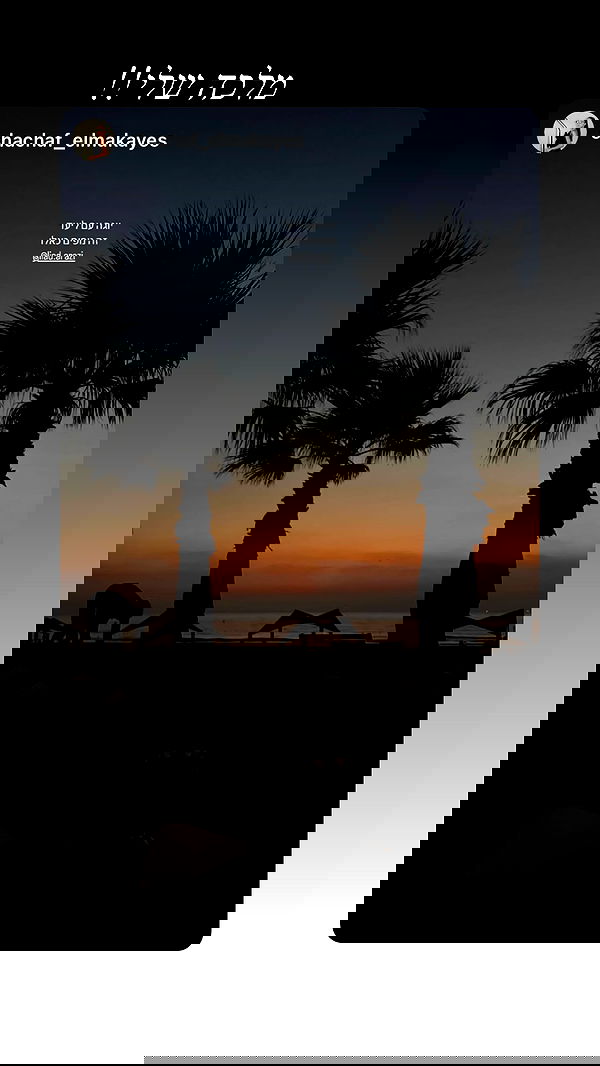 liad.arazi image ~ Altpins