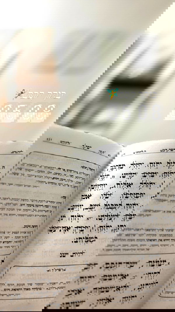 liad.arazi image ~ Altpins