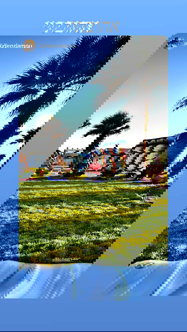 liad.arazi image ~ Altpins