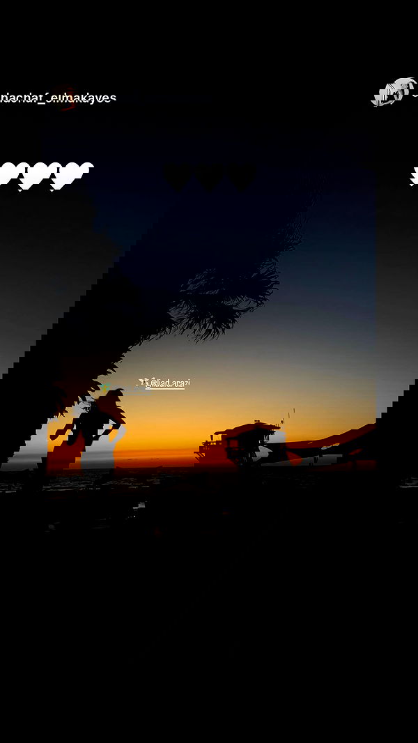 liad.arazi image ~ Altpins