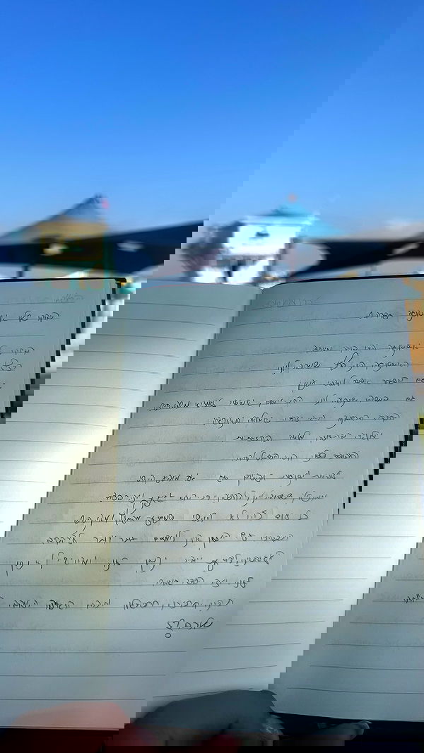 liad.arazi image ~ Altpins