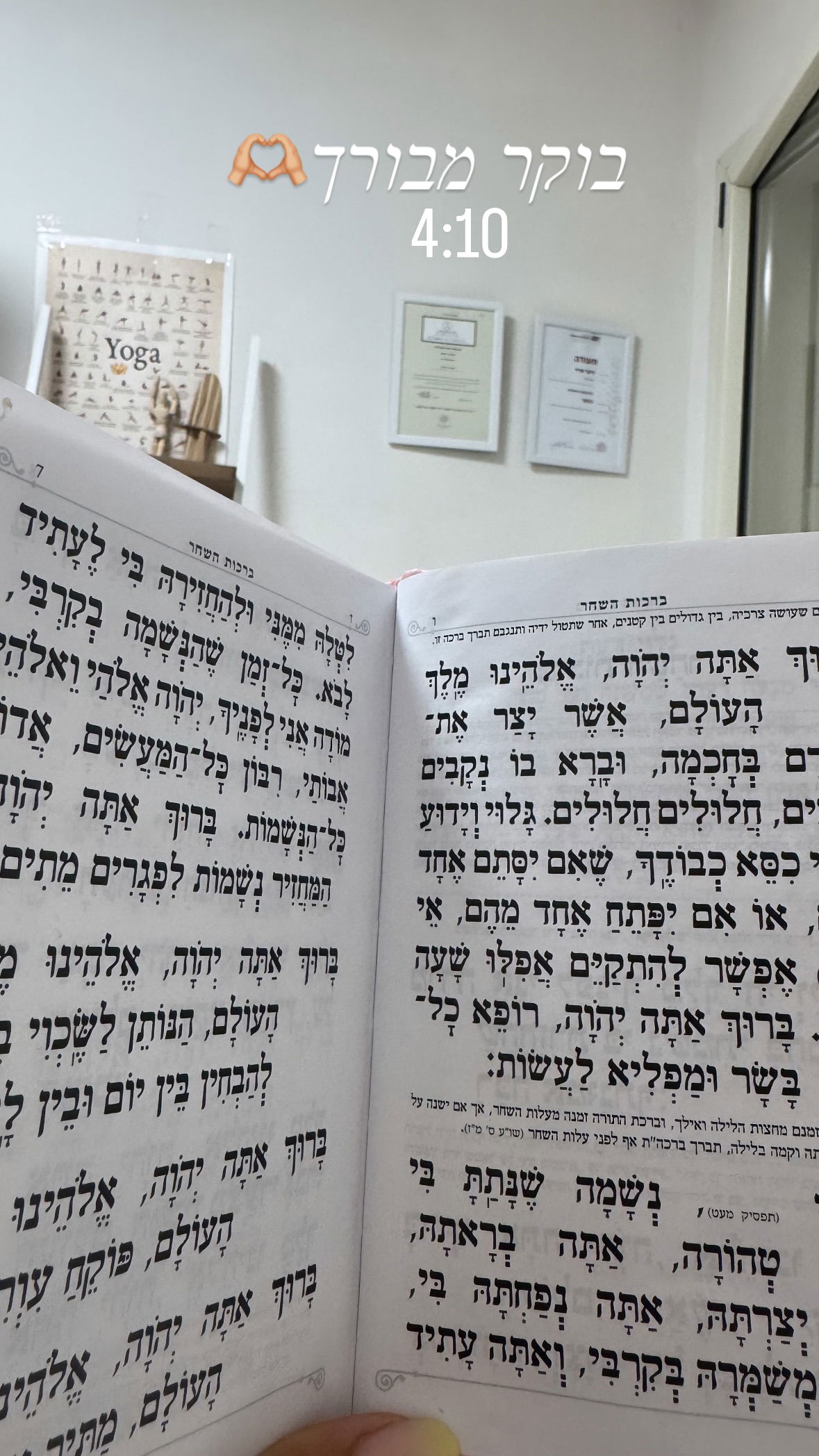 liad.arazi instagram image archive image