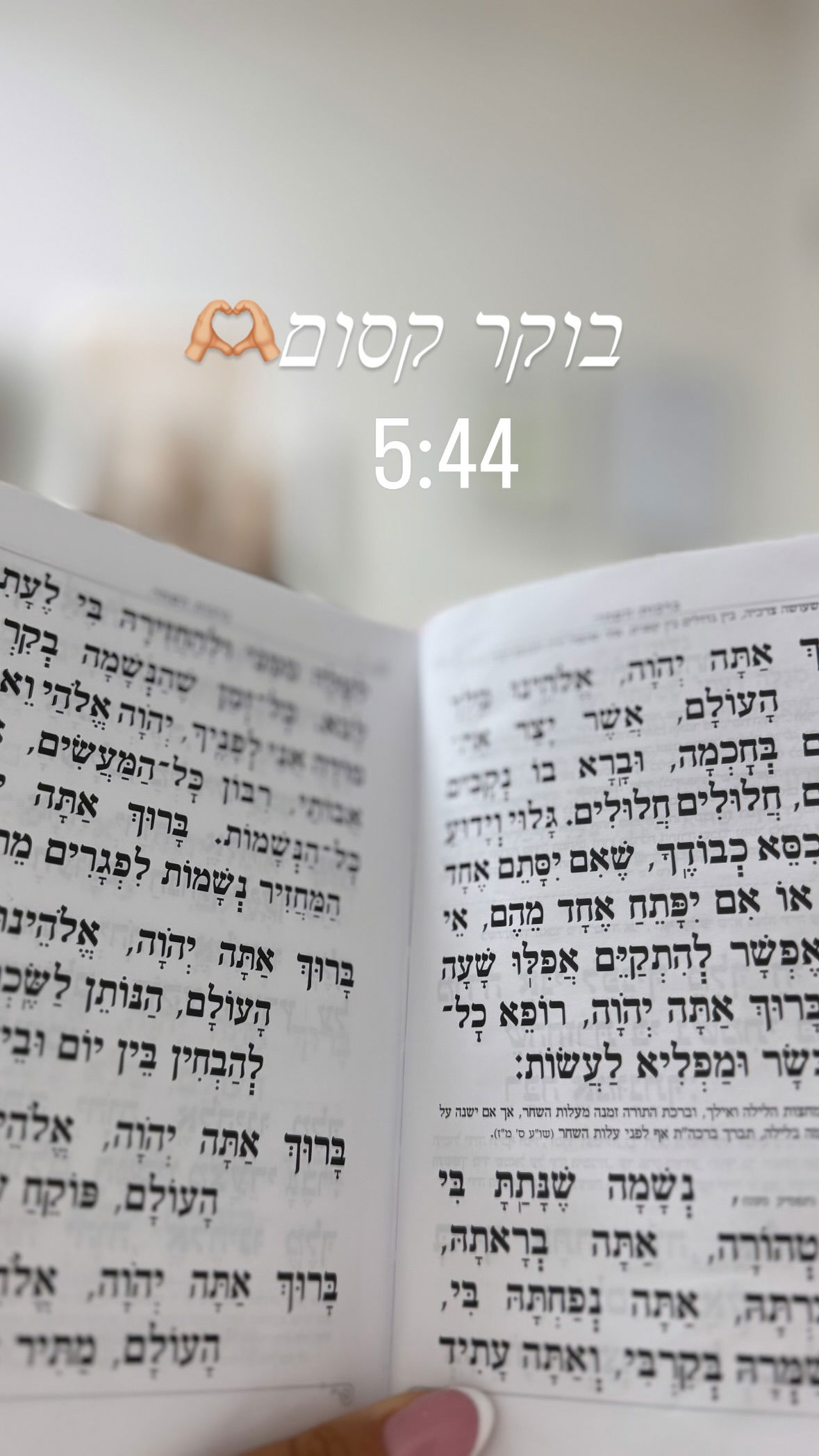 liad.arazi instagram image archive image