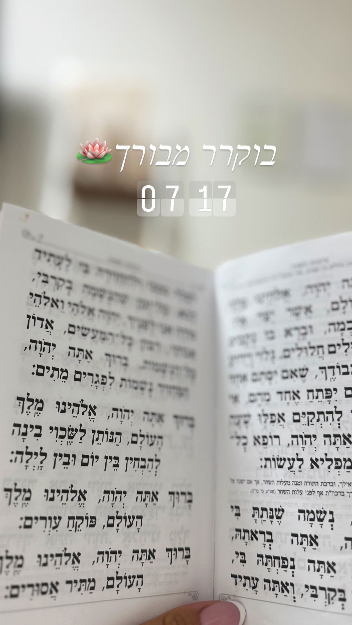 liad.arazi instagram image archive image