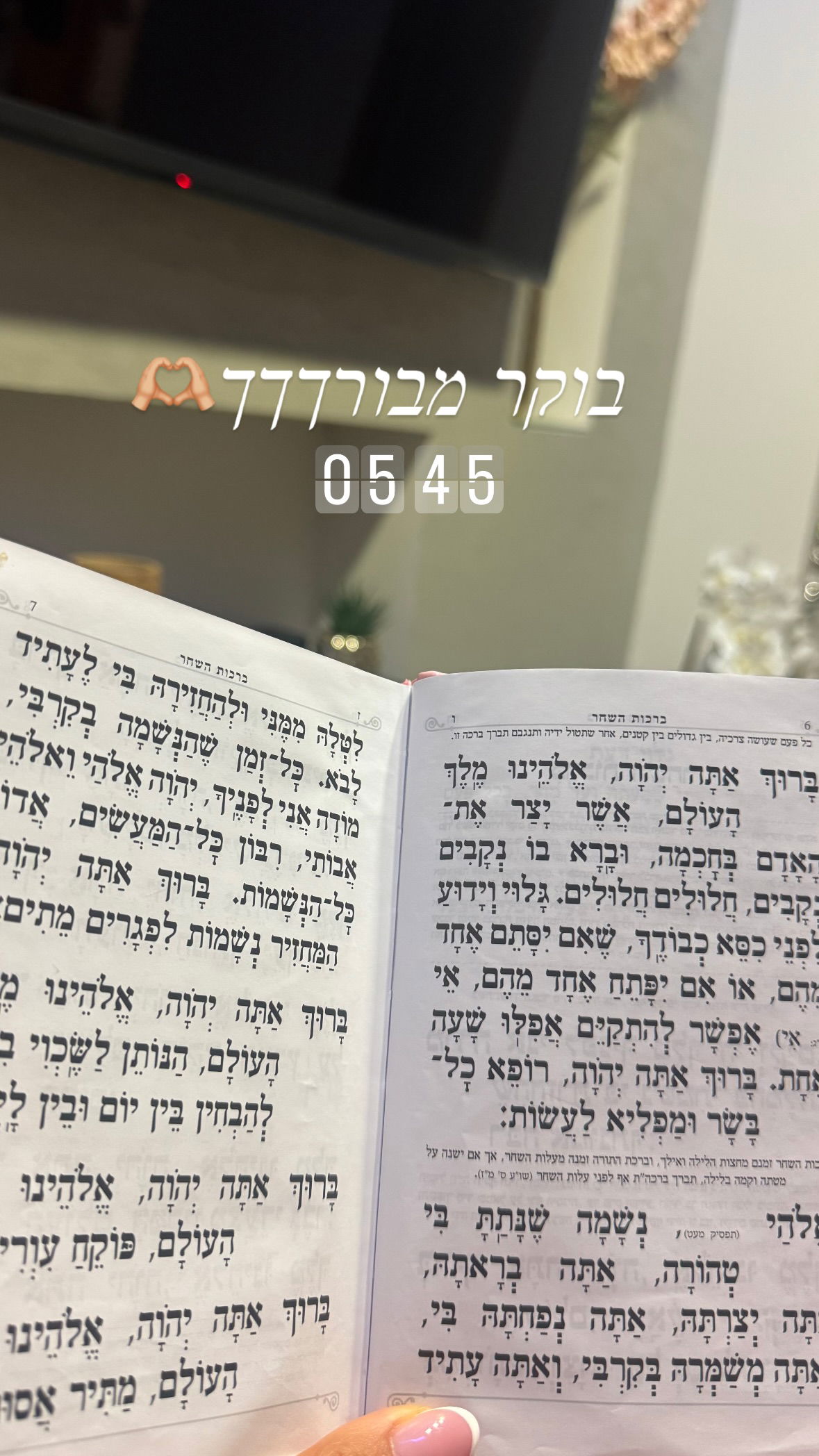 liad.arazi instagram image archive image