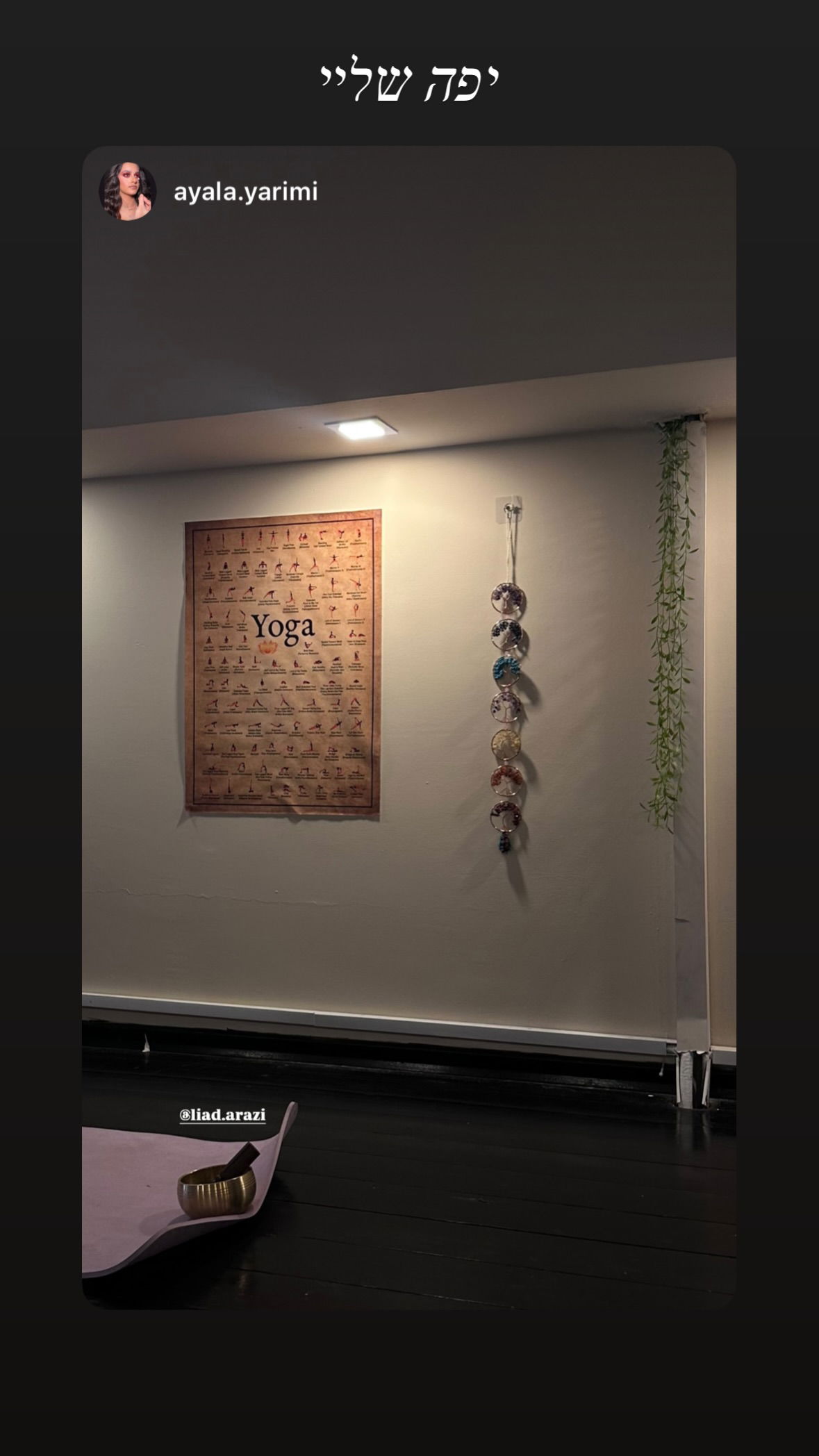 liad.arazi instagram image archive image