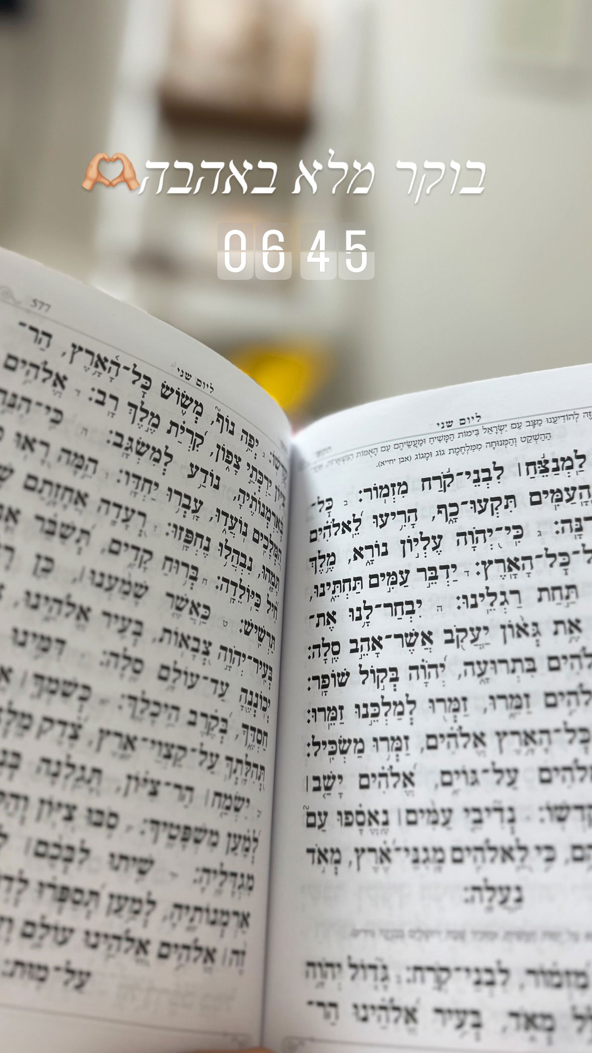 liad.arazi instagram image archive image