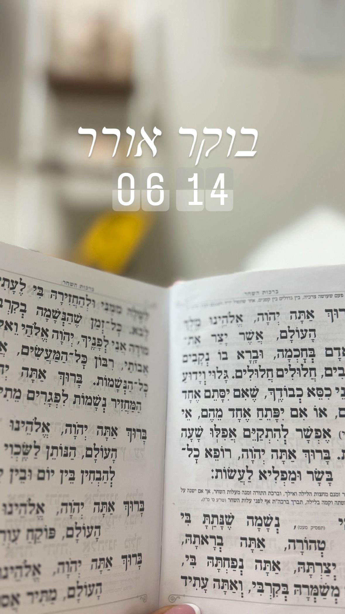 liad.arazi instagram image archive image