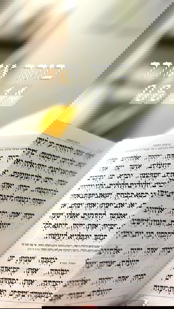 liad.arazi image ~ Altpins