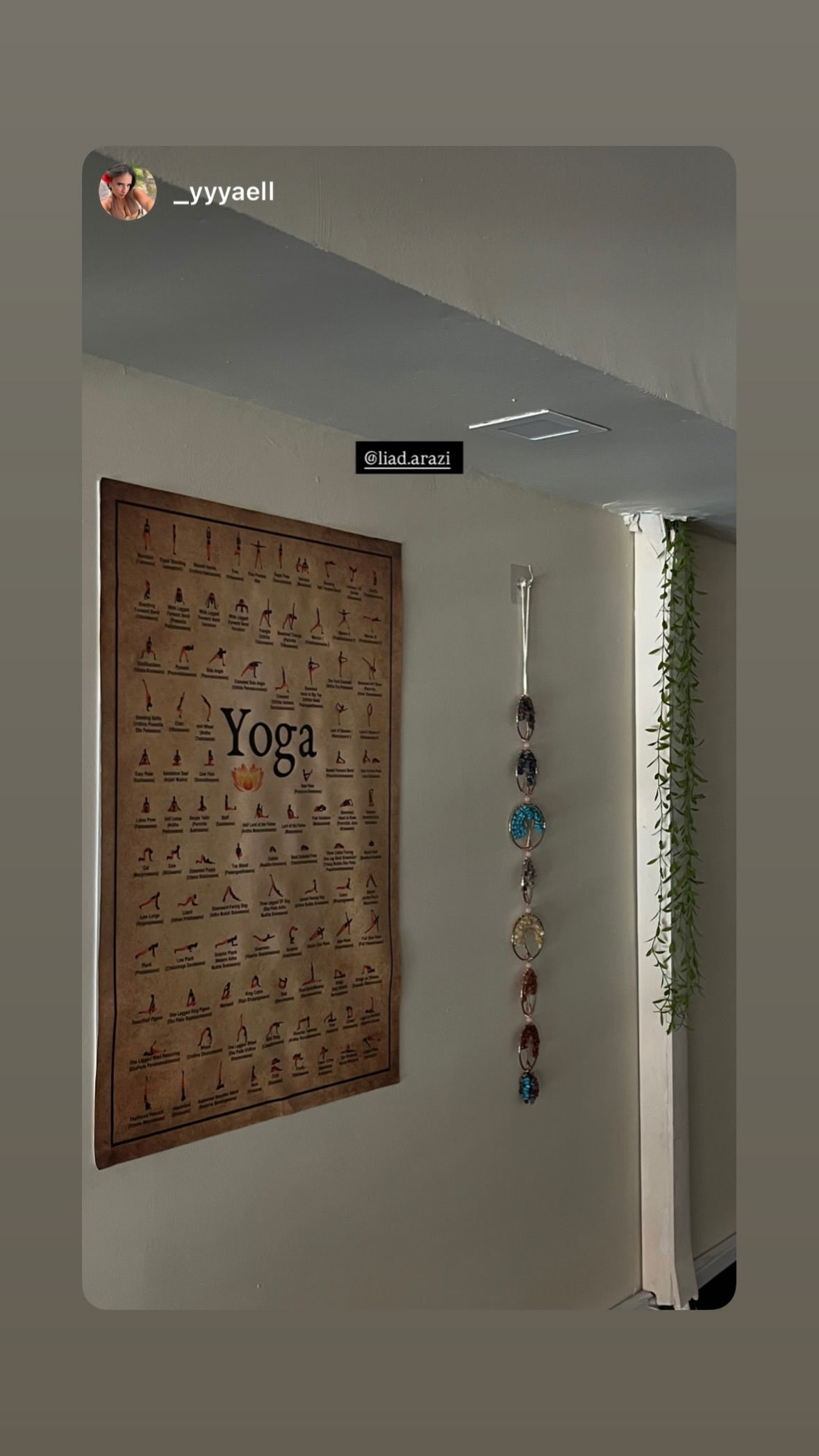 liad.arazi instagram image archive image